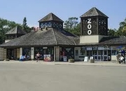 zoo